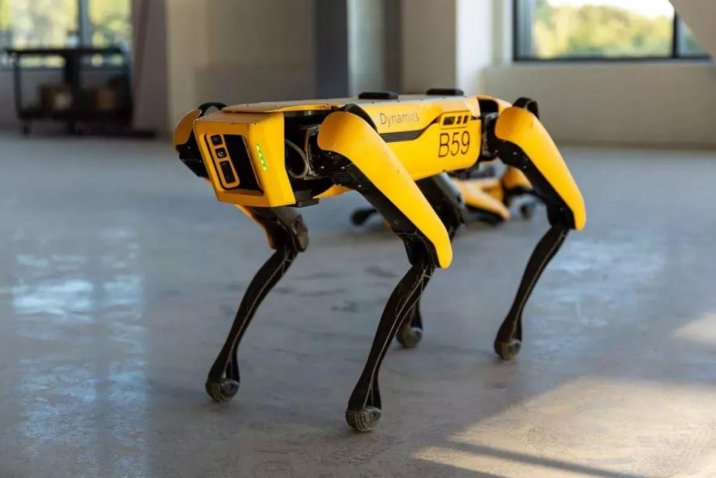 Boston Dynamics’in Robot Köpeği Sosyal Mesafeyi Koruma Amacıyla Görev Başında